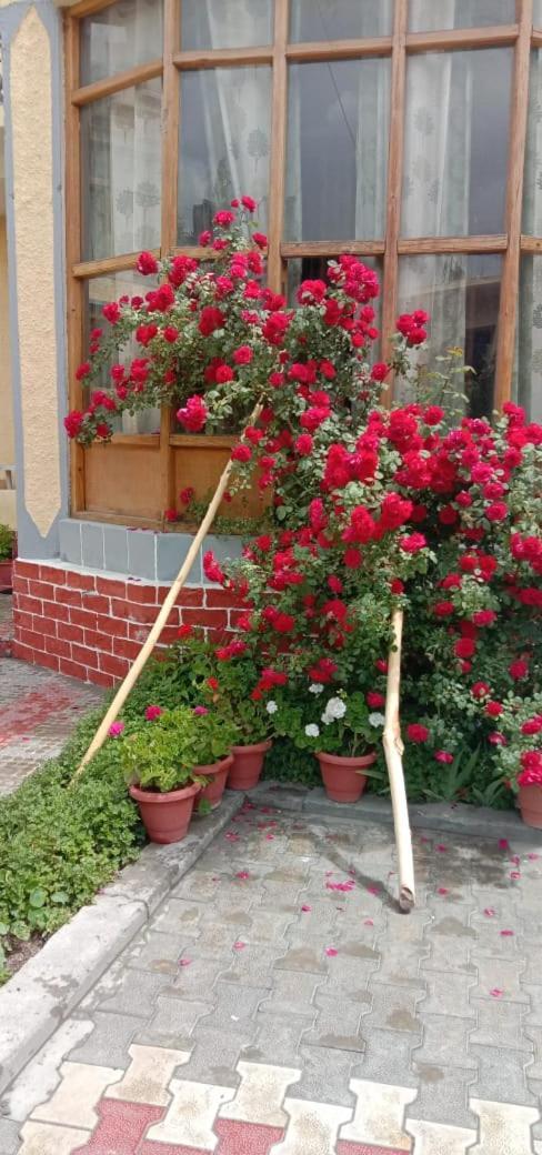 Hotel Lonchay Residency Leh Dış mekan fotoğraf